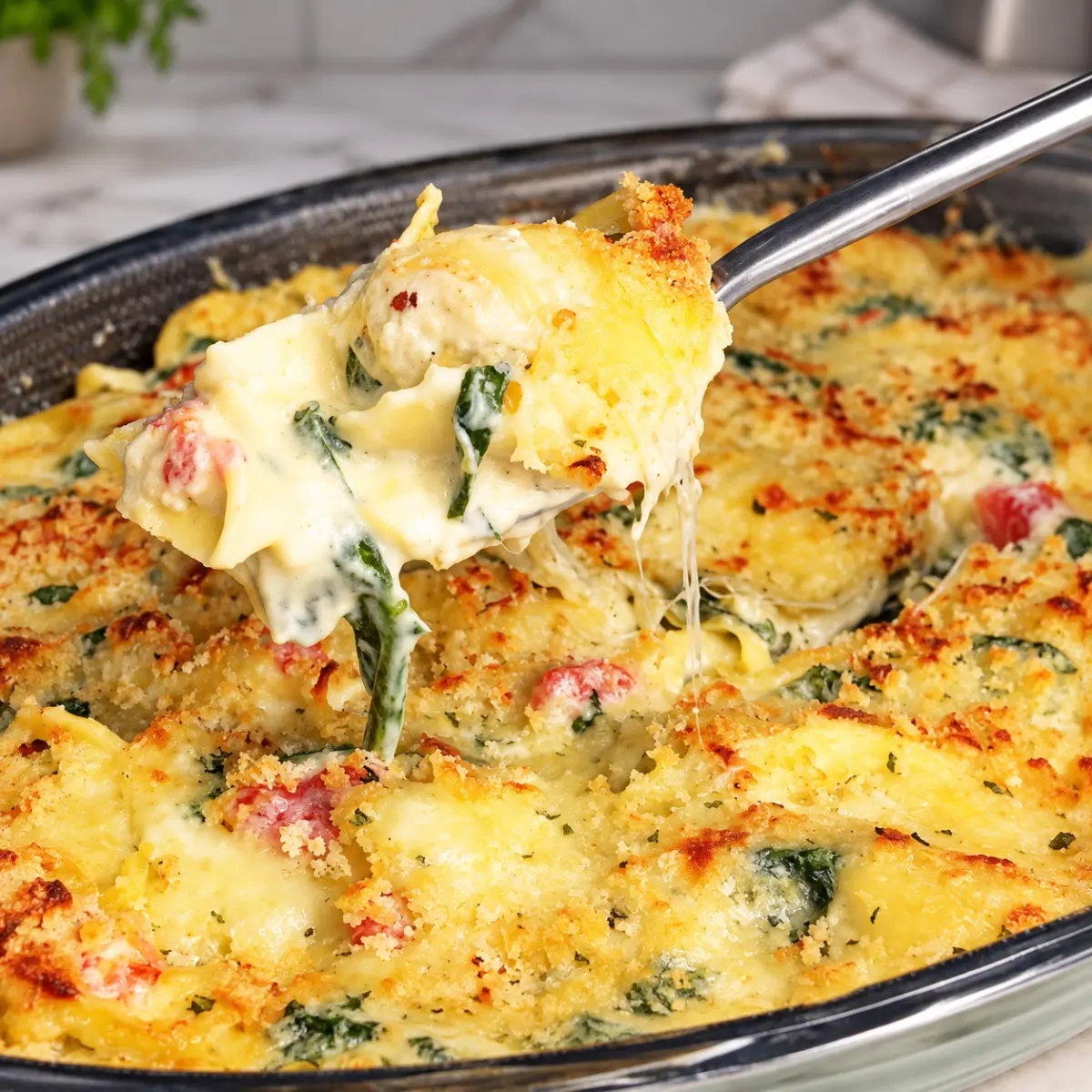 Spinach/Artichoke Dip Tortellini